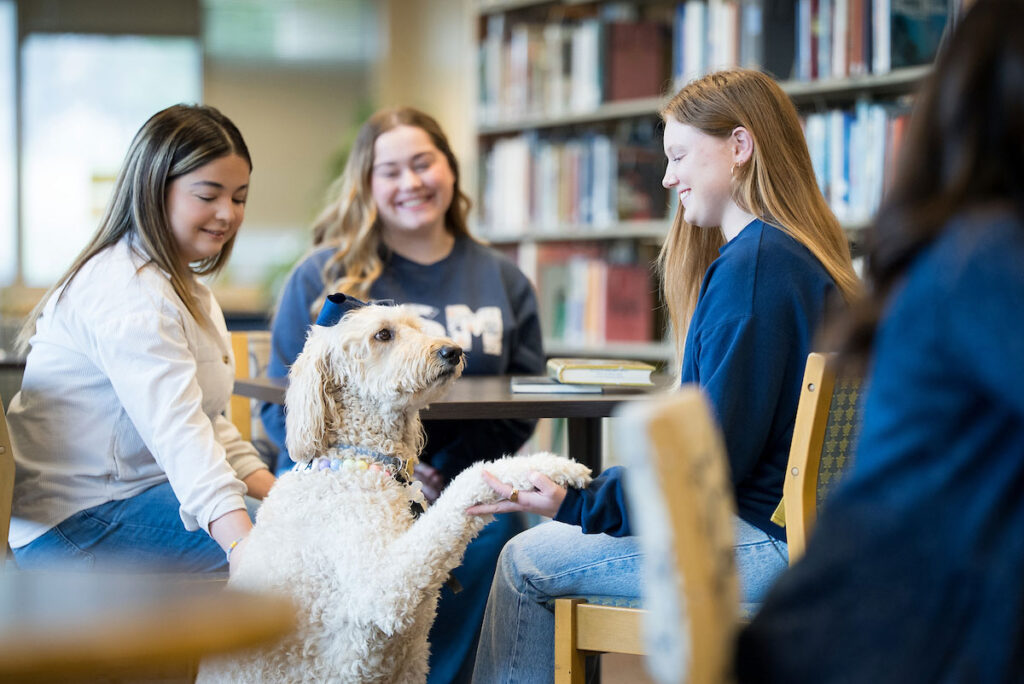Students sit with a therapy dog in a campus library.